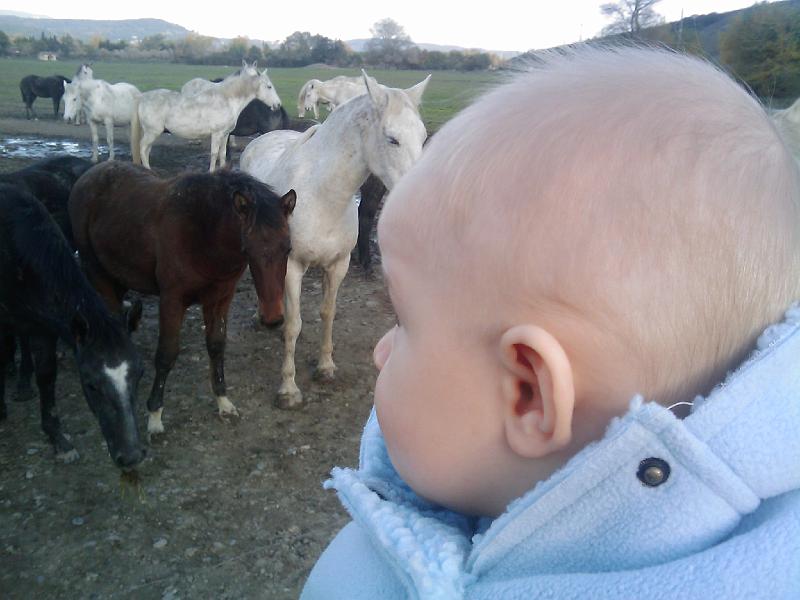 ah si finalement..jpg